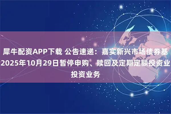 犀牛配资APP下载 公告速递：嘉实新兴市场债券基金2025年10月29日暂停申购、赎回及定期定额投资业务