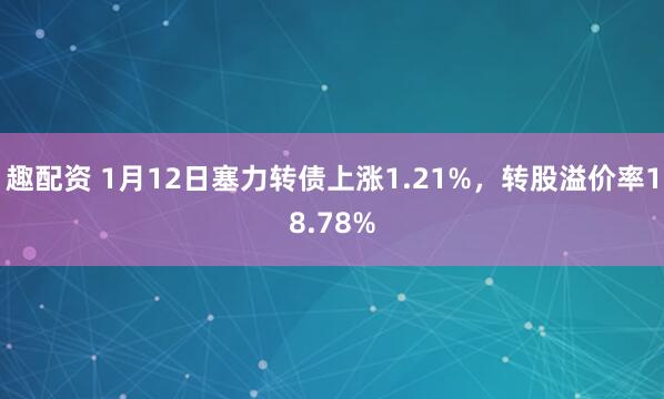 趣配资 1月12日塞力转债上涨1.21%，转股溢价率18.78%