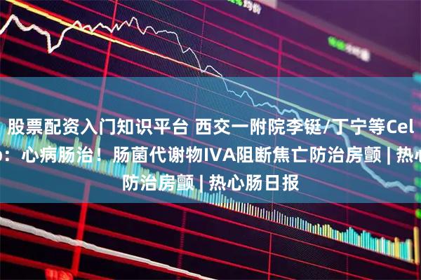股票配资入门知识平台 西交一附院李铤/丁宁等Cell Metab：心病肠治！肠菌代谢物IVA阻断焦亡防治房颤 | 热心肠日报